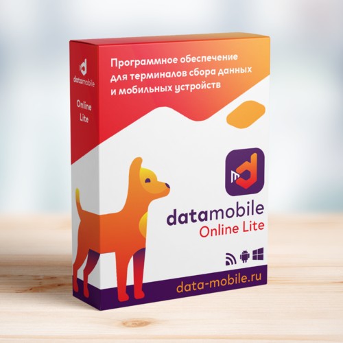 ПО DataMobile, версия Online Lite в Иркутске